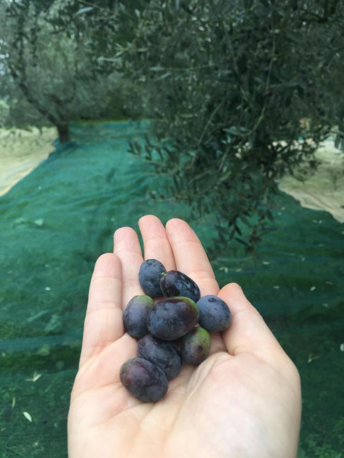 Agriturismo La Casina Nel Vigneto Larciano المظهر الخارجي الصورة